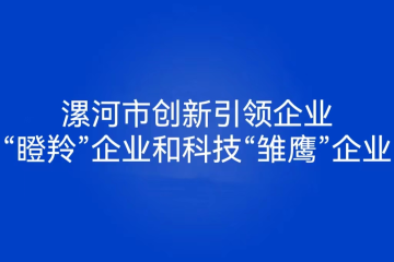 2022年漯河市創新引領型企業政策