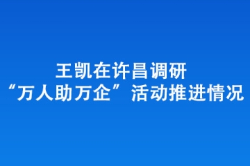 王凱在許昌調研“萬人助萬企”活動推進情況