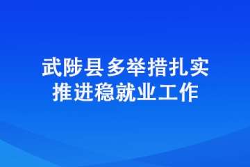 武陟縣多舉措扎實推進穩就業工作