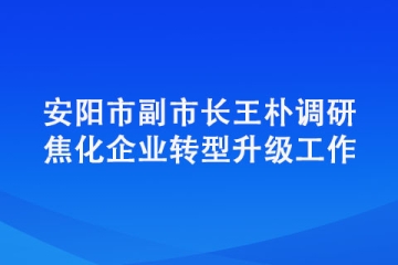 安陽市副市長王樸調研焦化企業轉型升級工作