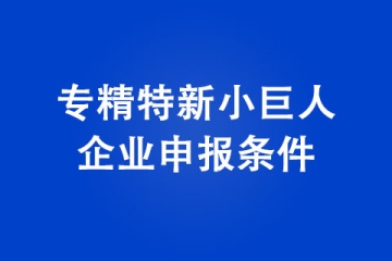 2022年專精特新小巨人企業申報條件