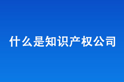 什么是知識產權公司 什么是知識產權公司