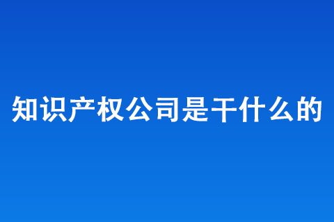 知識產權公司是干什么的 知識產權公司是干什么的
