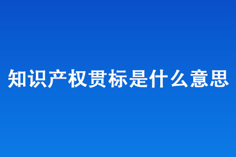 知識產權貫標有什么用