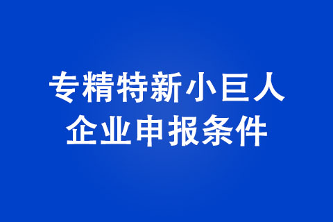 河南專精特新小巨人企業