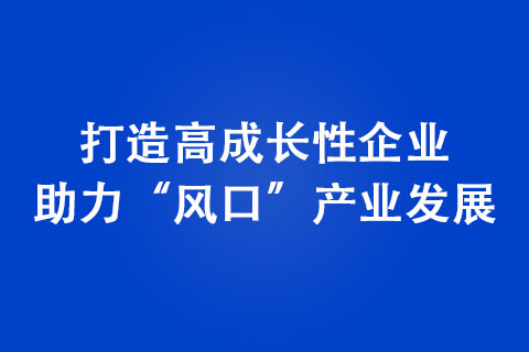 打造高成長性企業 助力“風口”產業發展 打造高成長性企業 助力“風口”產業發展