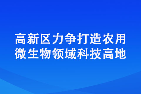 高新區力爭打造農用微生物領域科技高地 高新區力爭打造農用微生物領域科技高地