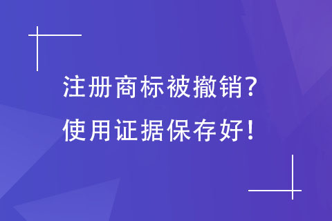 商標使用證據