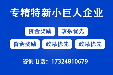 專精特新小巨人企業認定 專精特新小巨人企業認定